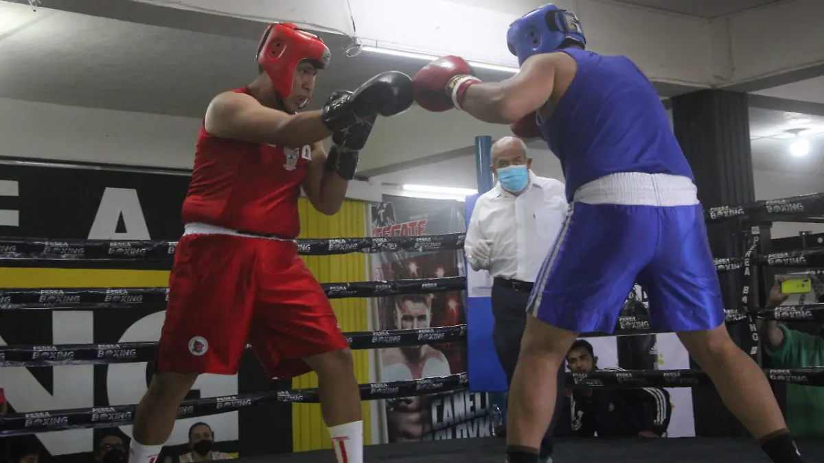 BOXEO (1)